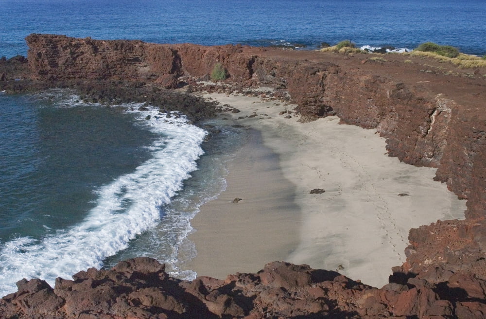 Hawaii Lanai Sweetheart Beach Viewed From Above Canvas Art - Greg Vaughn Design Pics (34 x 22)
