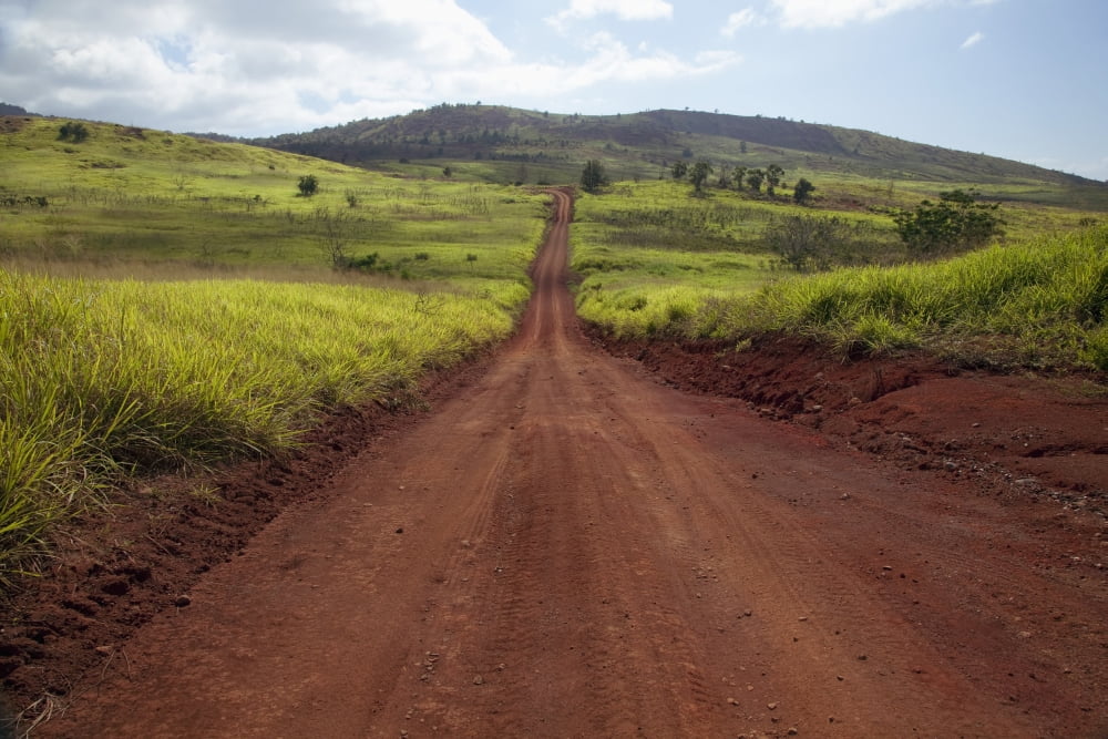 Hawaii Lanai The long red dirt road of Munrow Trail Canvas Art - Jenna Szerlag Design Pics (38 x 24)