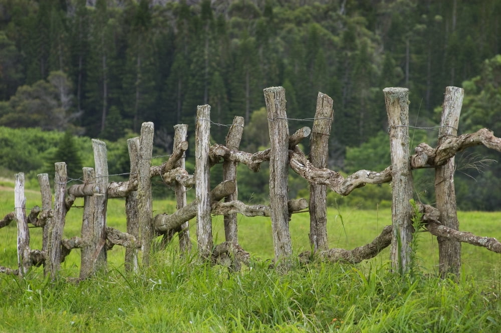 Hawaii Lanai Wooden Fence Bordering Pasture As Lodge At Koele Horse Stables Canvas Art - Greg Vaughn  Design Pics (34 x 22)