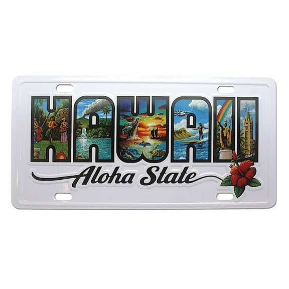 Hawaii License Plate Aloha State