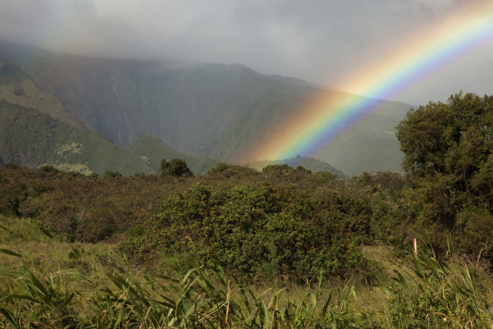 Hawaii Maui A rainbow over the lush Kaupo Gap Canvas Art - Jenna Szerlag Design Pics (19 x 12)