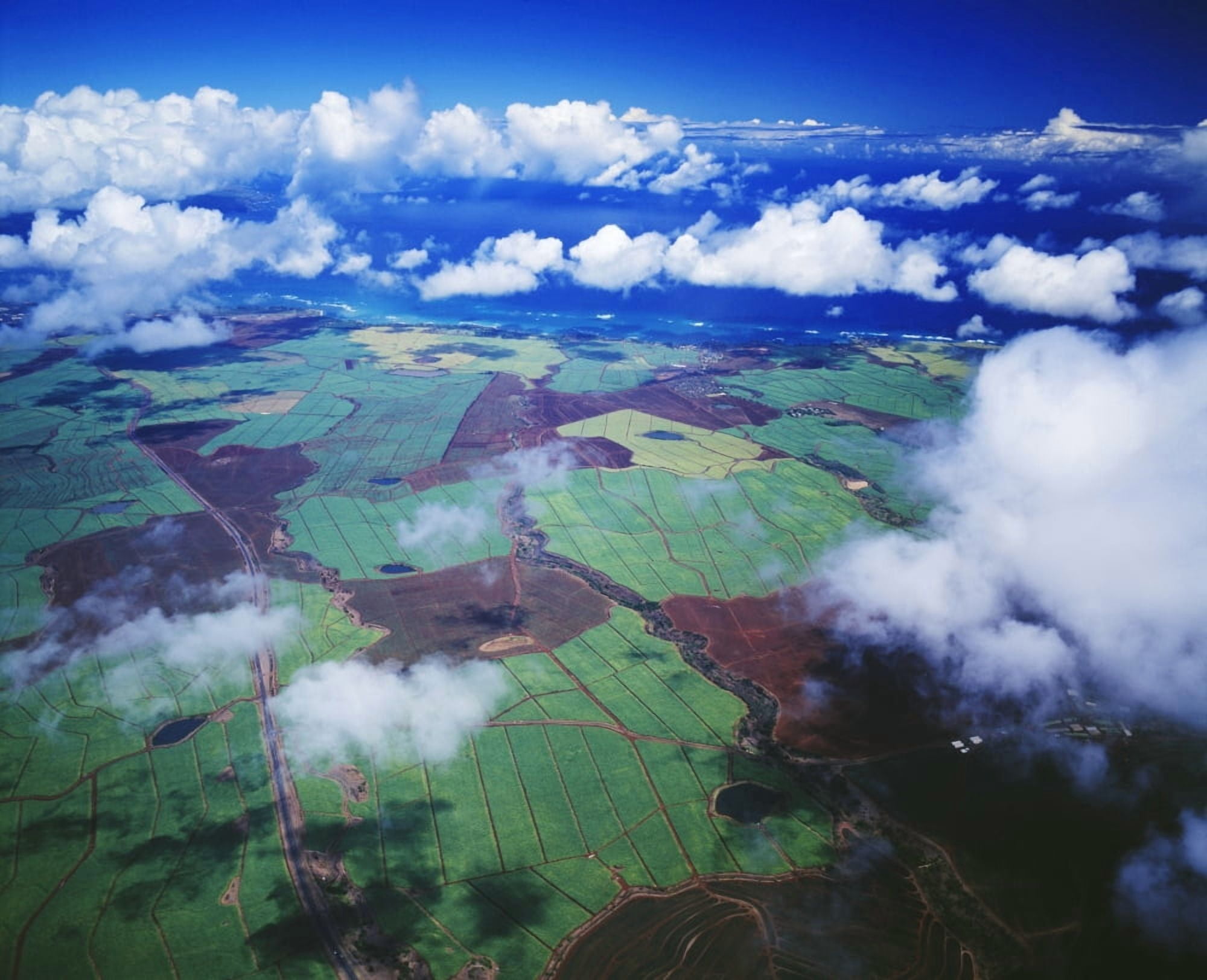 Hawaii Maui Aerial View Of Sugarcane Fields In Central Maui Canvas Art - Ron Dahlquist Design Pics (34 x 28)