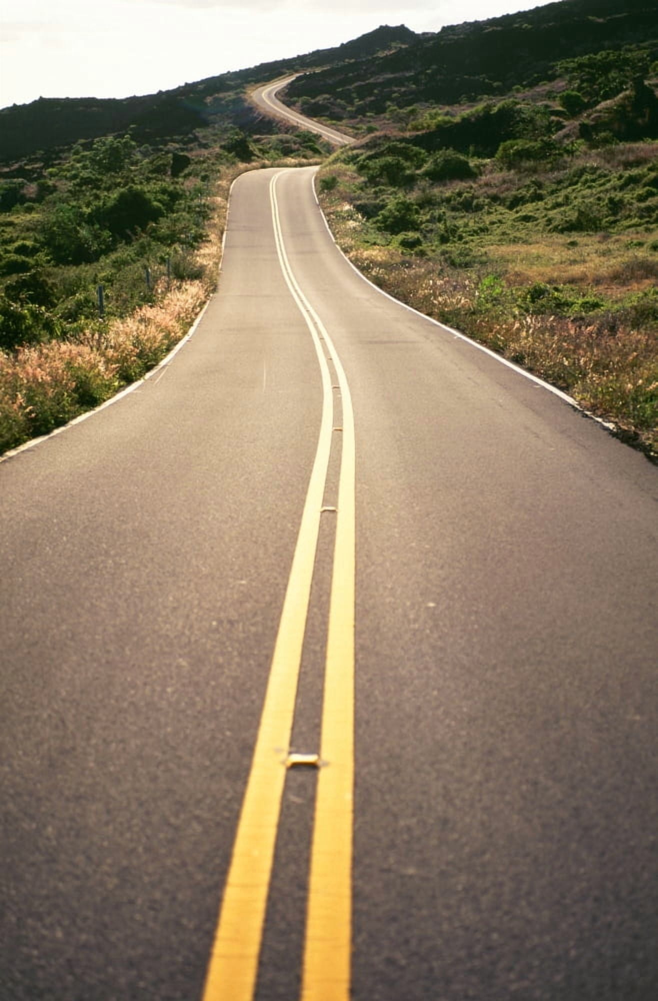 Hawaii Maui Country Road Through Rolling Hills Canvas Art - Dana Edmunds Design Pics (24 x 38)