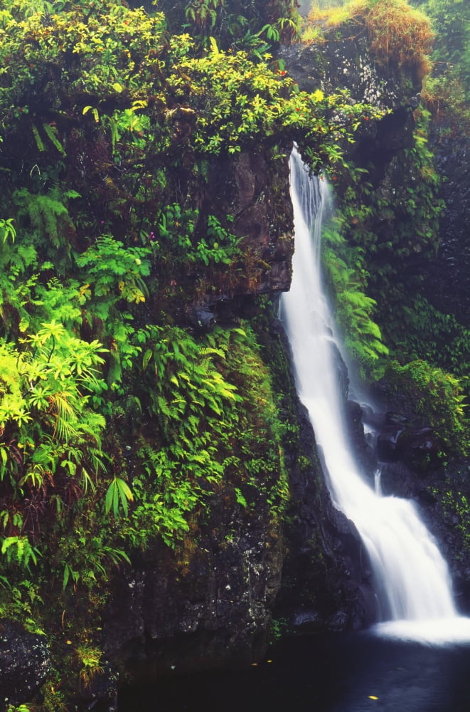 Hawaii Maui Foliage And Waterfall Along Hana Highway Canvas Art - Carl Shaneff Design Pics (11 x 18)