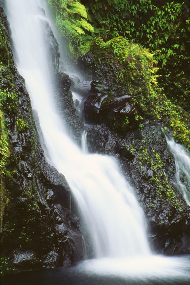 Hawaii Maui Foliage And Waterfall Along Hana Highway Canvas Art - Carl Shaneff Design Pics (13 x 20)