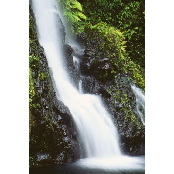 Hawaii, Maui, Foliage And Waterfall Along Hana Highway Poster Print (13 x 20)
