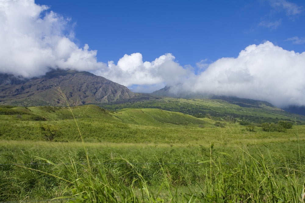 Hawaii Maui Haleakala Kaupo Gap Green And Calm On A Warm Day Canvas Art - Ron Dahlquist Design Pics (17 x 11)
