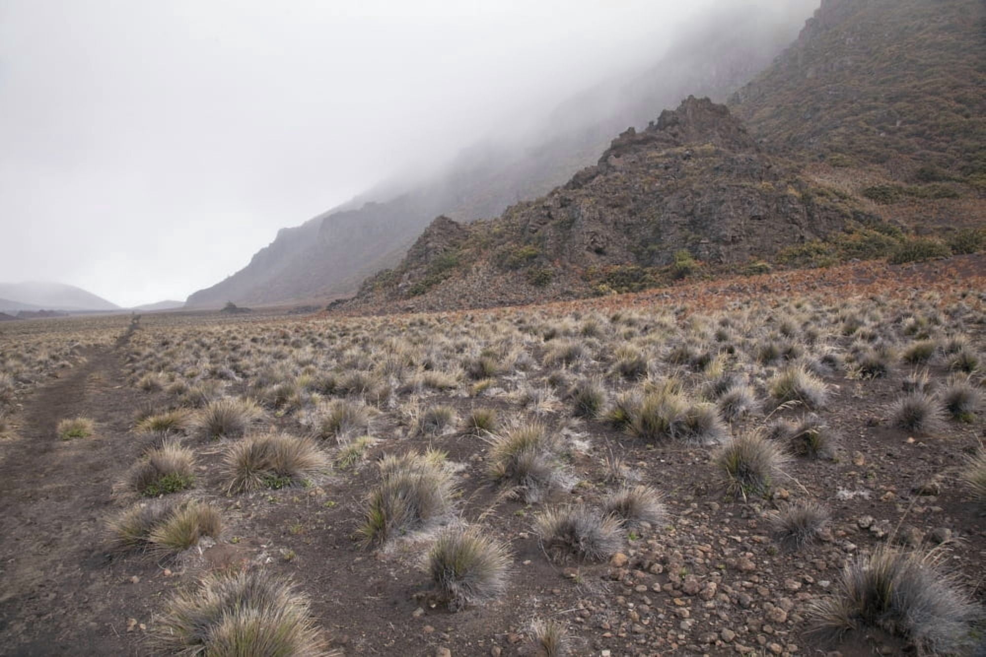 Hawaii Maui Haleakala The hiking trail through the Volcanic Crater Canvas Art - Jenna Szerlag Design Pics (19 x 12)