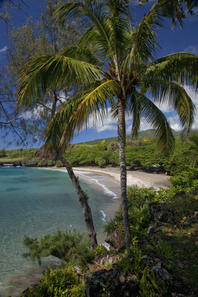 Hawaii Maui Hana A sunny view of Hamoa Beach with clear ocean on a calm day Canvas Art - Jenna Szerlag Design Pics (24 x 38)