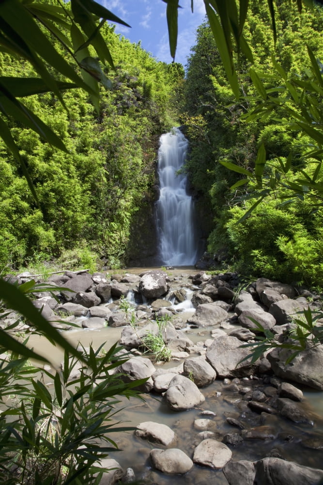 Hawaii Maui Hana A waterfall surrounded by lush bamboo plants Canvas Art - Jenna Szerlag Design Pics (24 x 38)