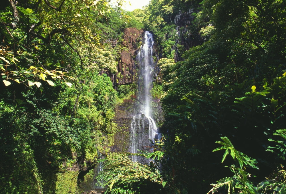 Hawaii Maui Hana Coast Waterfall Surrounded By Lush Greenery Canvas Art - Mary Van de Ven Design Pics (18 x 12)