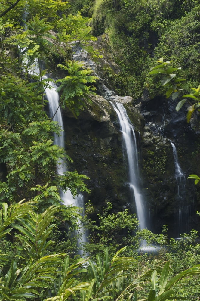 Hawaii Maui Hana Coast Waterfalls Along The Hana Highway Canvas Art - Greg Vaughn Design Pics (11 x 17)