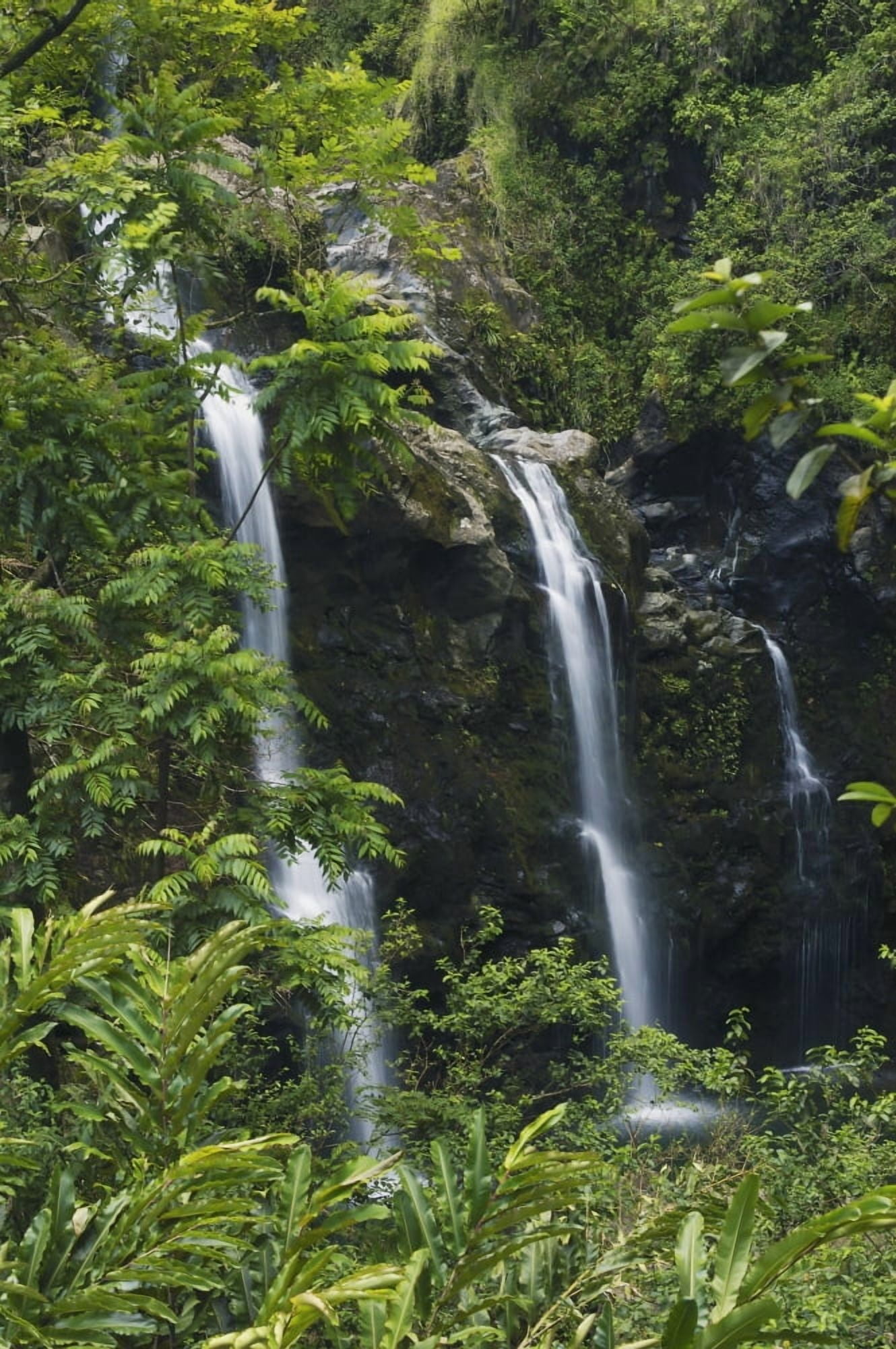 Hawaii Maui Hana Coast Waterfalls Along The Hana Highway Canvas Art - Greg Vaughn Design Pics (22 x 34)