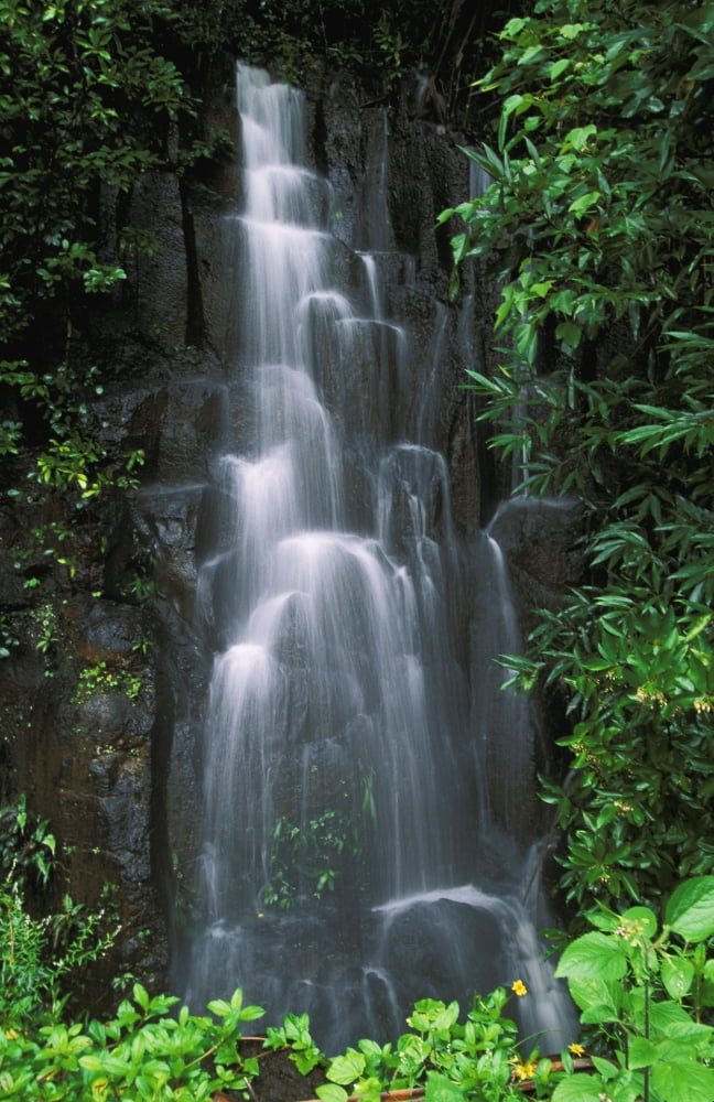 Hawaii Maui Hana Highway Cascading Waterfall In Lush Tropical Rainforest Canvas Art - Ron Dahlquist Design Pics (11 x 17)