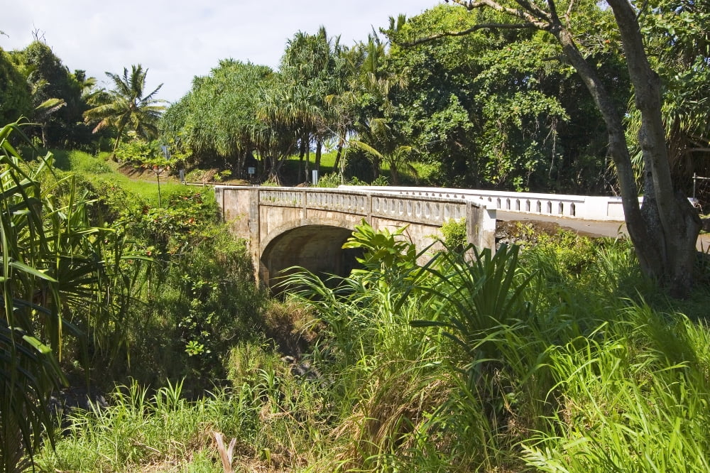 Hawaii Maui Hana Kipahulu Seven Sacred Pools Oheo Gulch Old Bridge Canvas Art - Ron Dahlquist Design Pics (36 x 24)