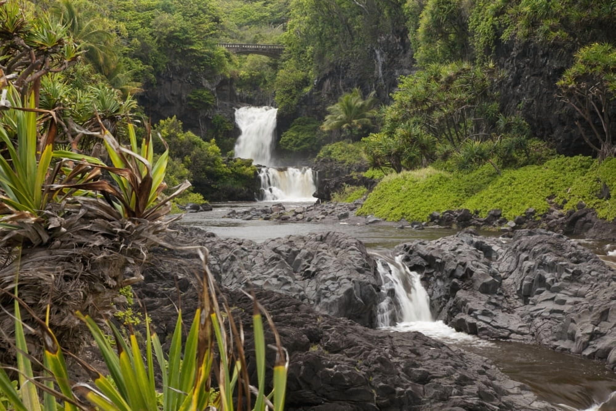 Hawaii Maui Hana Seven Sacred Pools a large stream and waterfalls Canvas Art - Jenna Szerlag Design Pics (19 x 12)