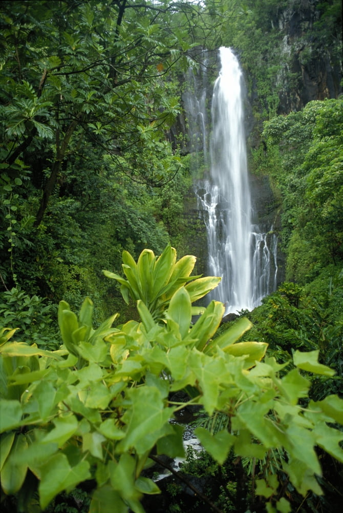 Hawaii Maui Hana Wailea Falls Cascading Surrounded By Lush Greenery Canvas Art - Ron Dahlquist Design Pics (24 x 38)