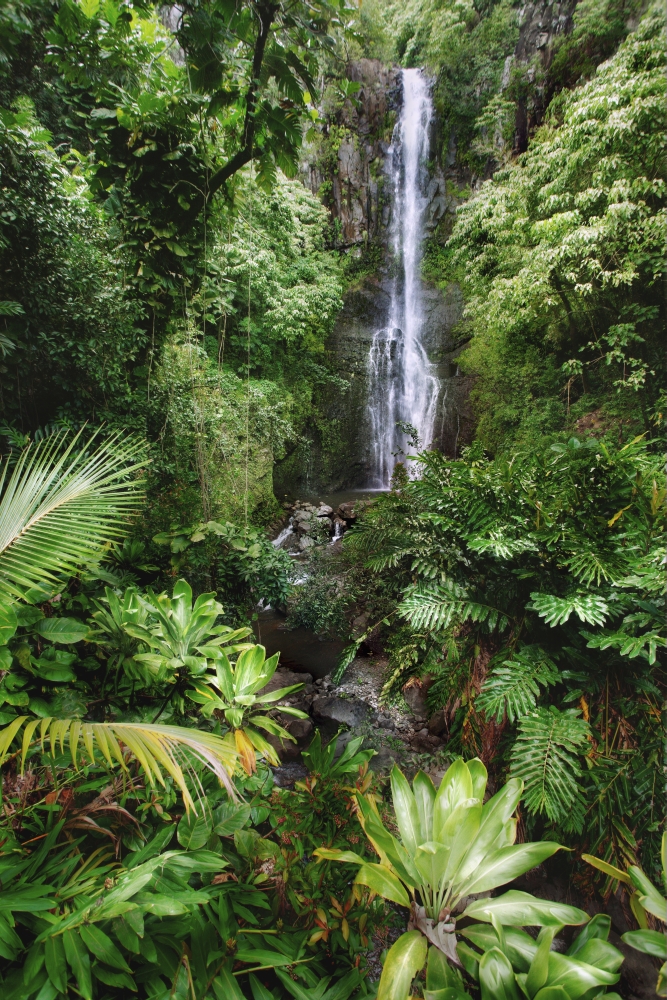 Hawaii Maui Hana Wailua Falls Beautiful Afternoon Light On Waterfall Canvas Art - M Swiet Productions Design Pics (12 x 18)