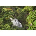 thumbnail image 1 of Hawaii  Maui  Hana  Waterfall Surrounded By Tropical Flowers And Plants Poster Print, 1 of 2