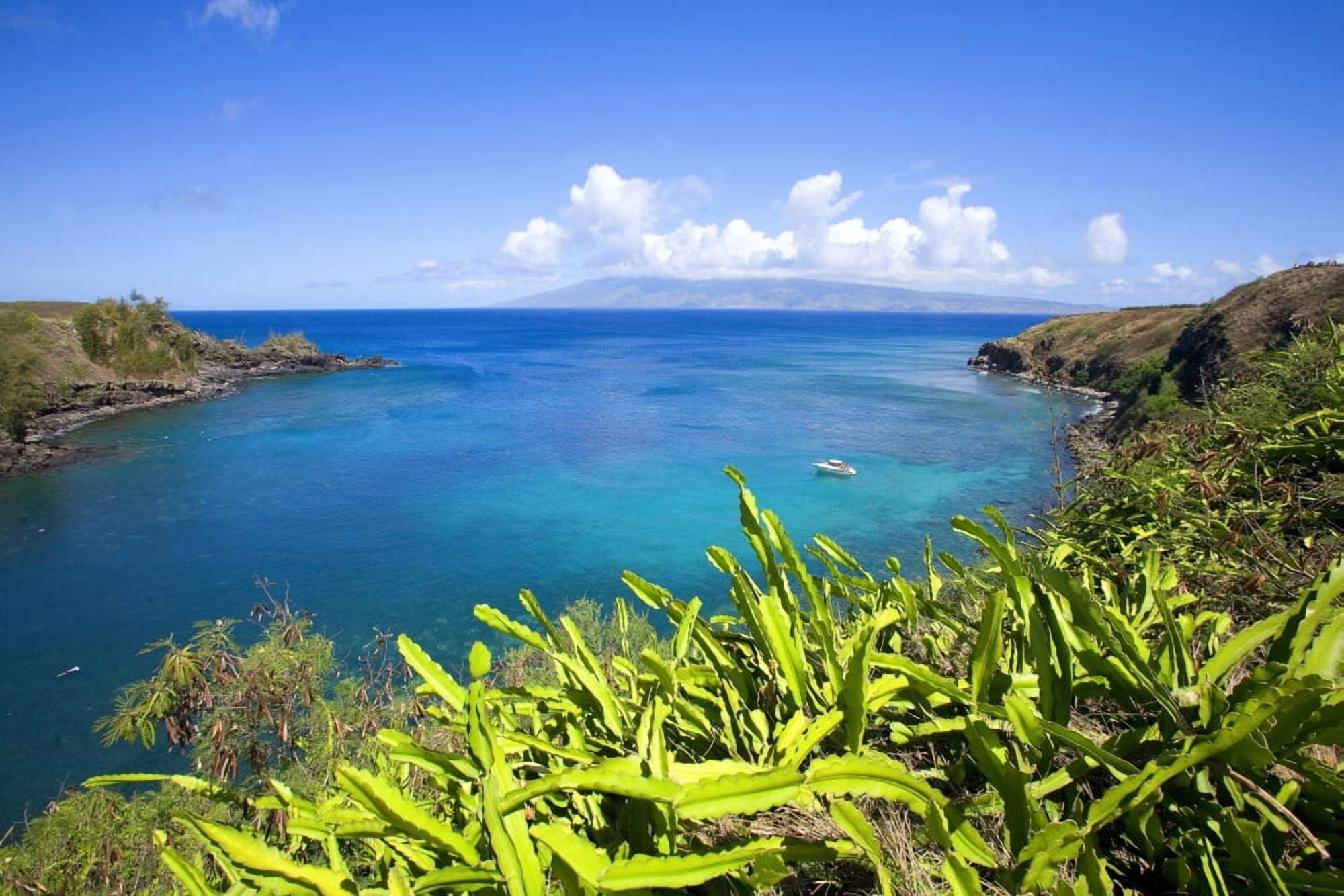 Hawaii Maui Honolua Bay Green Brush Overlooking Bright Blue Water Molokai In The Distance Canvas Art - Ron Dahlquist  Design Pics (17 x 11)