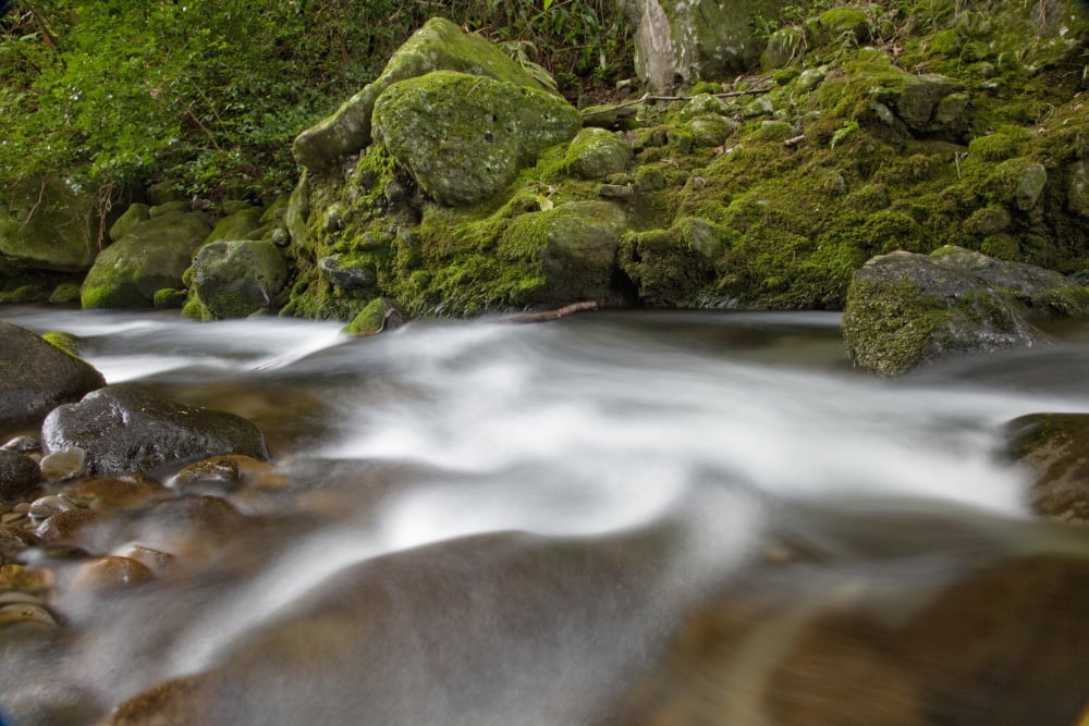 Hawaii Maui Iao River Valley water in motion Canvas Art - Jenna Szerlag Design Pics (19 x 12)