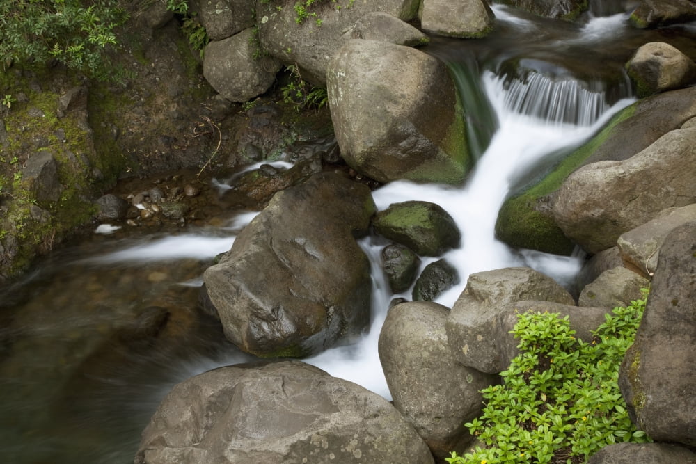 Hawaii Maui Iao River Valley waterfall Canvas Art - Jenna Szerlag Design Pics (19 x 12)