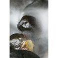 thumbnail image 1 of Hawaii, Maui, Iao River Valley waterfall. Poster Print (24 x 38), 1 of 4
