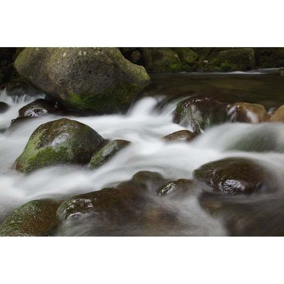 Hawaii Maui Iao River Valley waterfall. Poster Print