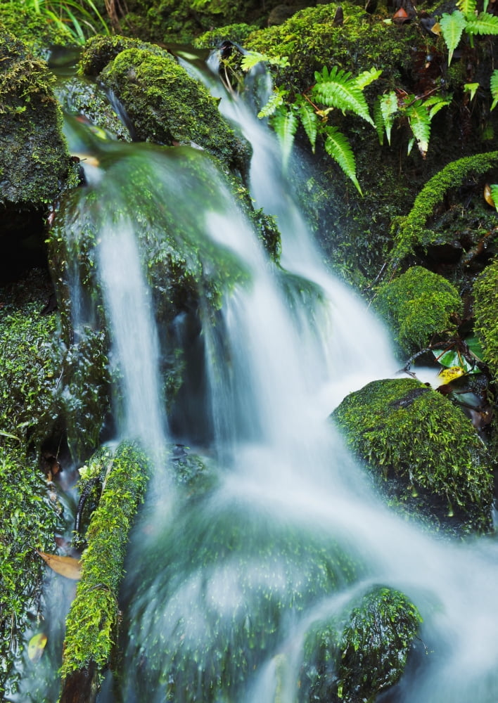 Hawaii Maui Iao Valley Beautiful lush stream flowing over mossy rocks Canvas Art - MakenaStockMedia Design Pics (26 x 36)