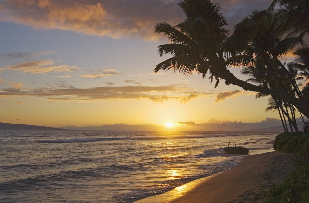 Hawaii Maui Kaanapali Resort Sunset With Beach And Palm Trees Canvas Art - Greg Vaughn Design Pics (17 x 11)