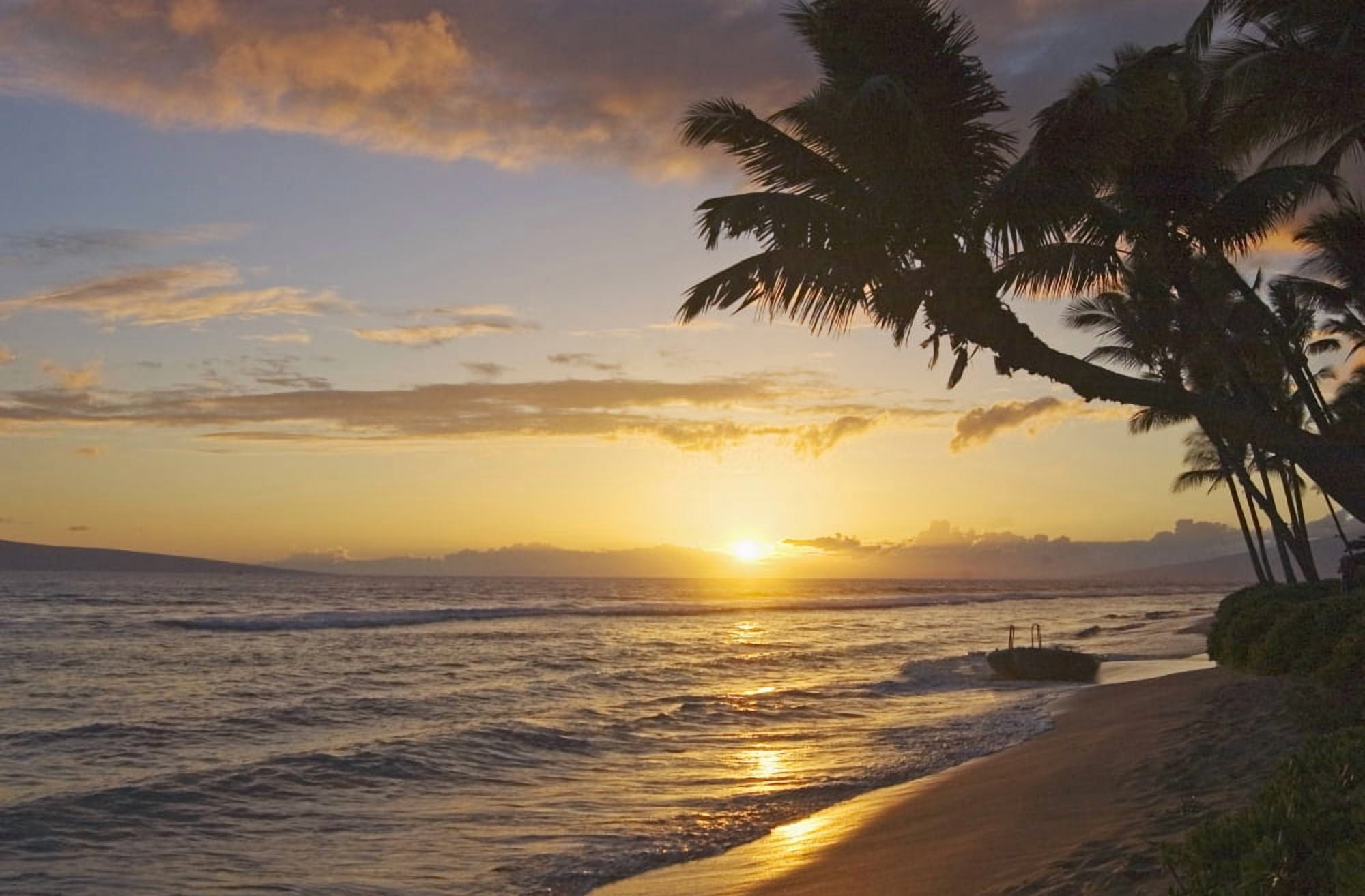 Hawaii Maui Kaanapali Resort Sunset With Beach And Palm Trees Canvas Art - Greg Vaughn Design Pics (34 x 22)