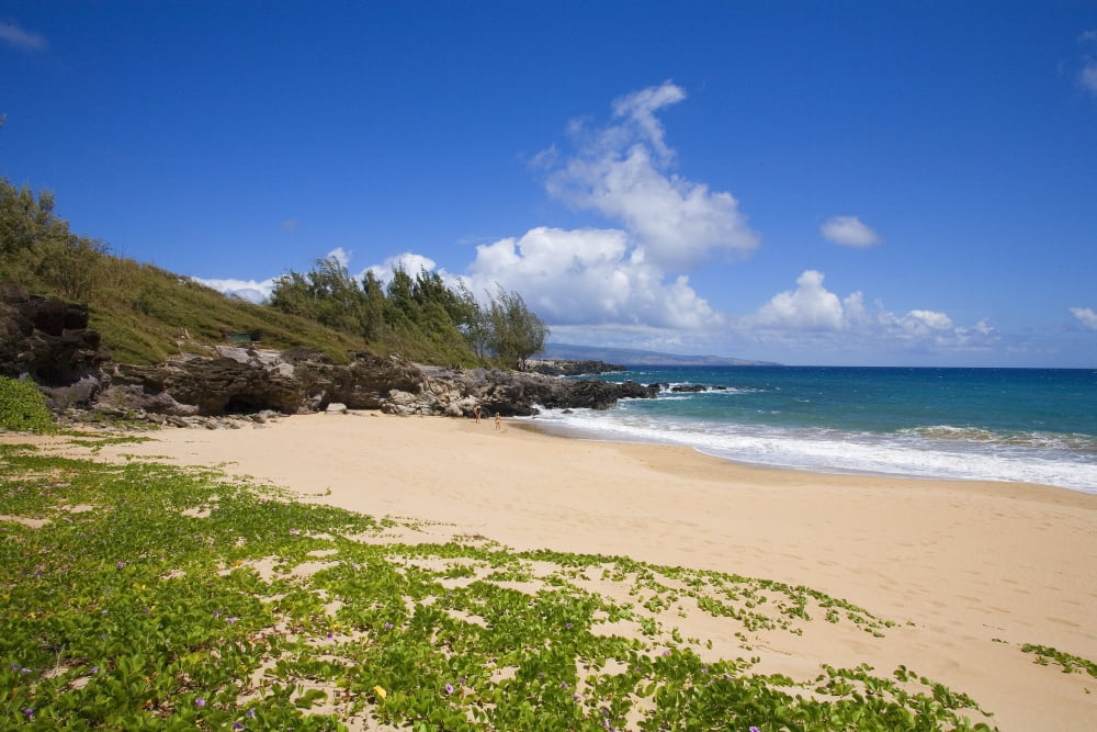Hawaii Maui Kapalua Fleming Beach Empty White Sand Beach Canvas Art - Ron Dahlquist Design Pics (17 x 11)