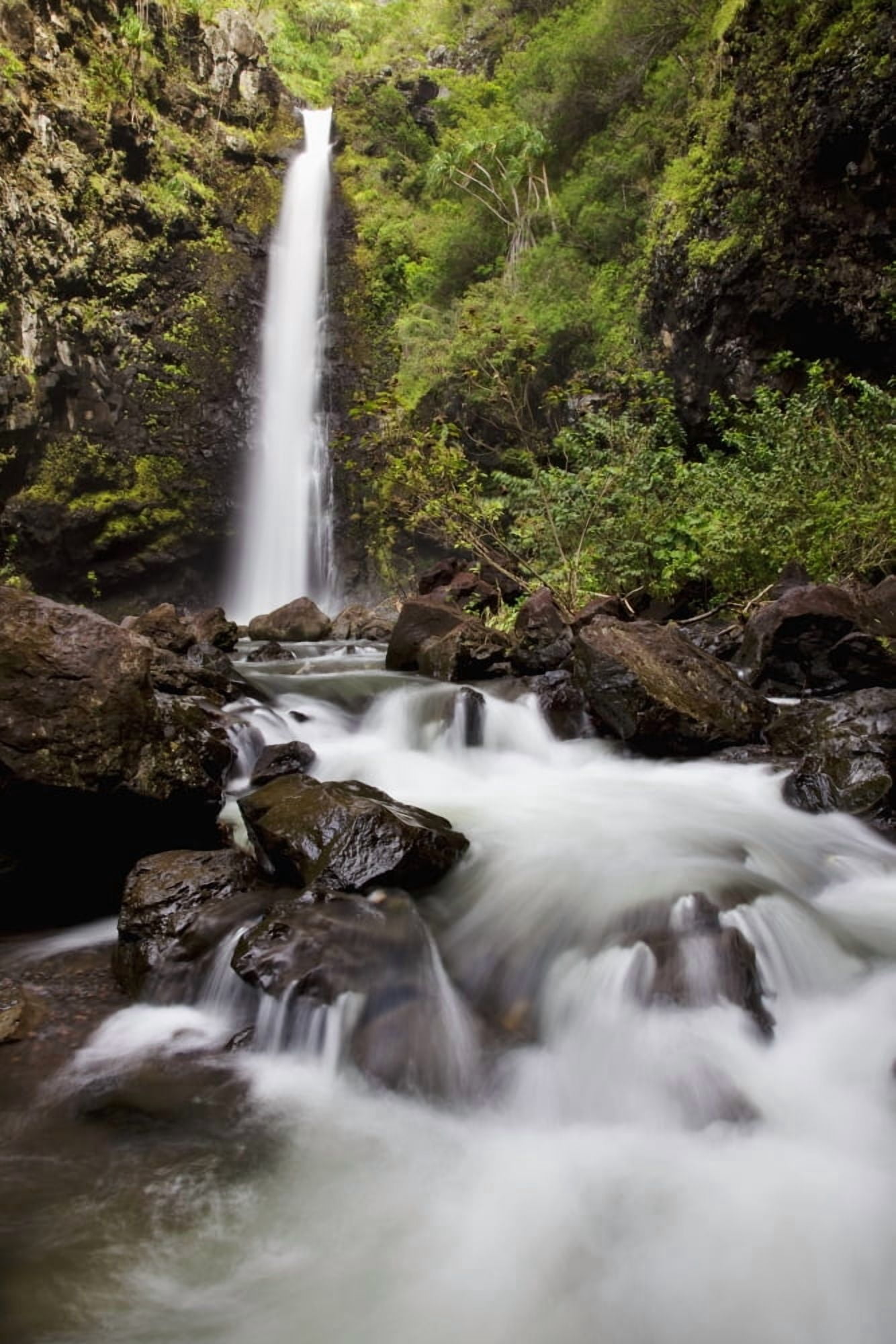 Hawaii Maui Kaupo A sunny view of Alalele Falls Canvas Art - Jenna Szerlag Design Pics (24 x 36)