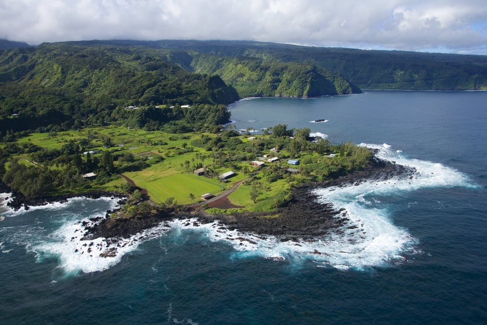 Hawaii Maui Keanae Peninsula Along The Road To Hana Canvas Art - Ron Dahlquist Design Pics (34 x 22)