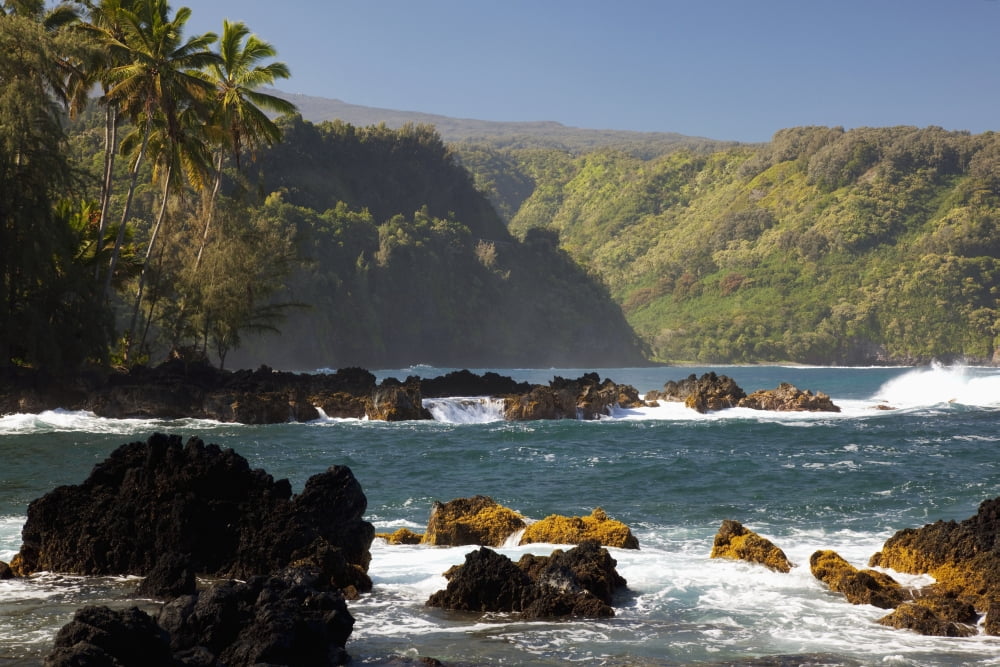 Hawaii Maui Keanae Peninsula Ocean and palm trees Canvas Art - Jenna Szerlag Design Pics (19 x 12)
