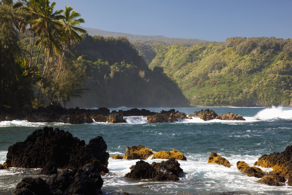 Hawaii Maui Keanae Peninsula Ocean and palm trees Canvas Art - Jenna Szerlag Design Pics (38 x 24)