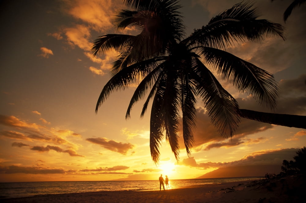 Hawaii Maui Kihei Kamaole One Distant View Of Couple Walking Along Beach At Sunset Canvas Art - Ron Dahlquist Design Pics (17 x 11)