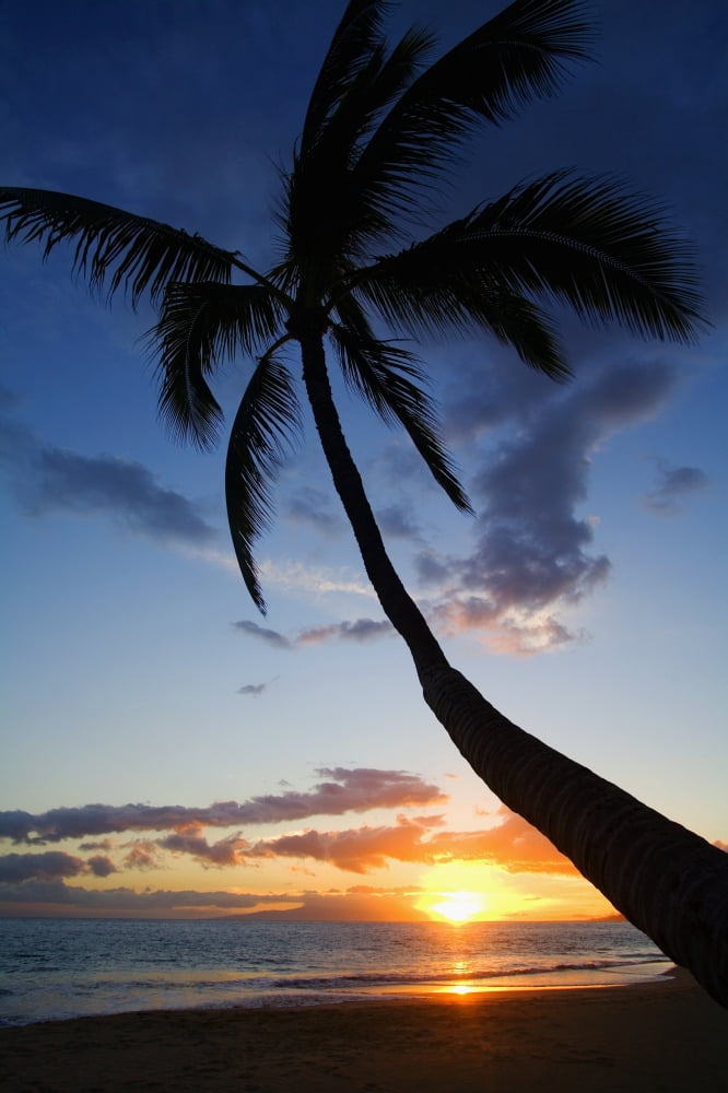 Hawaii Maui Kihei Sunset At Kamaole Beach One Canvas Art - Ron Dahlquist Design Pics (12 x 19)