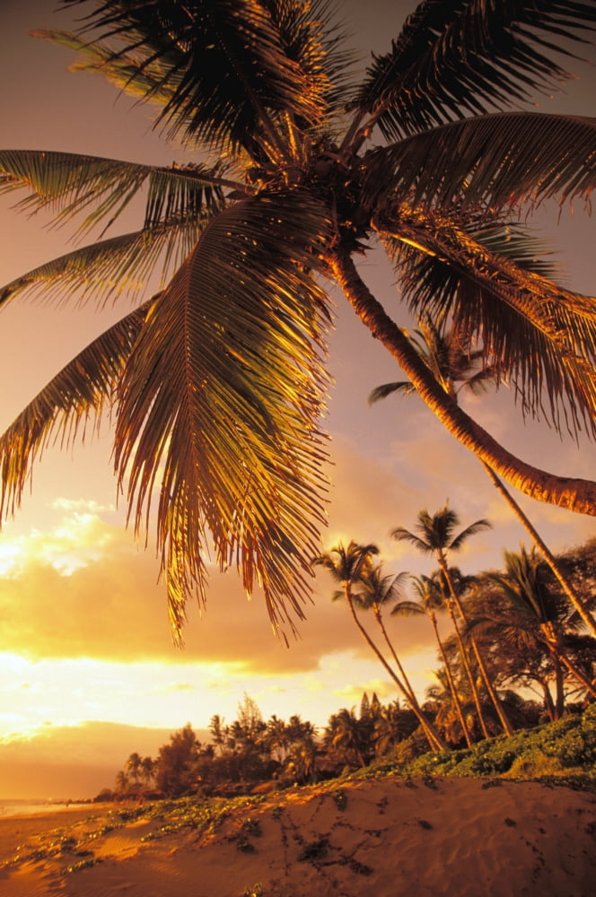 Hawaii Maui Kihei Sunset At Kamaole One Canvas Art - Ron Dahlquist Design Pics (11 x 17)