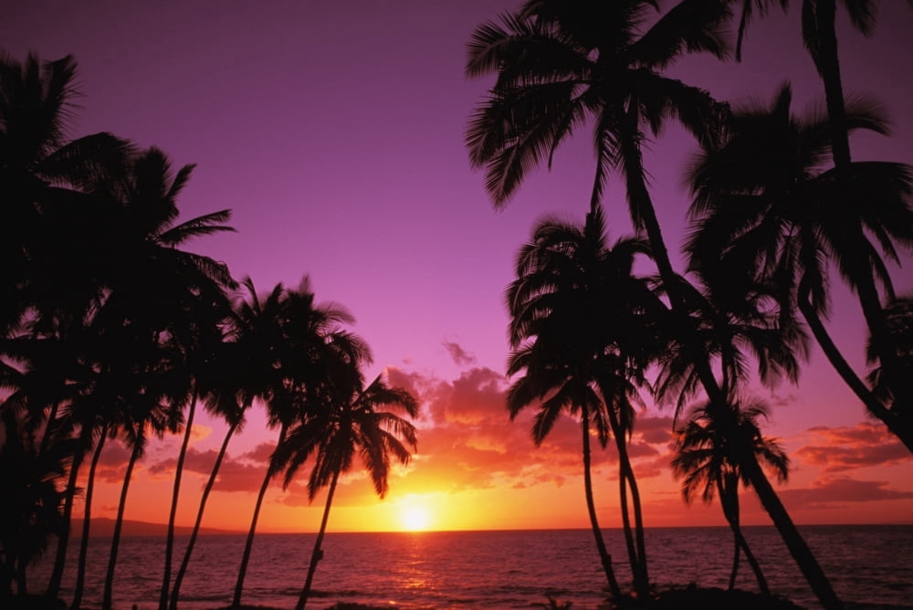 Hawaii Maui Kihei Sunset At Keawekapu Beach Canvas Art - Ron Dahlquist Design Pics (17 x 11)