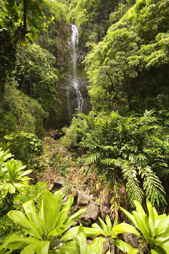 Hawaii Maui Kipahulu Hana Coast Wailua Falls Surrounded By Foliage Canvas Art - Ron Dahlquist Design Pics (12 x 18)