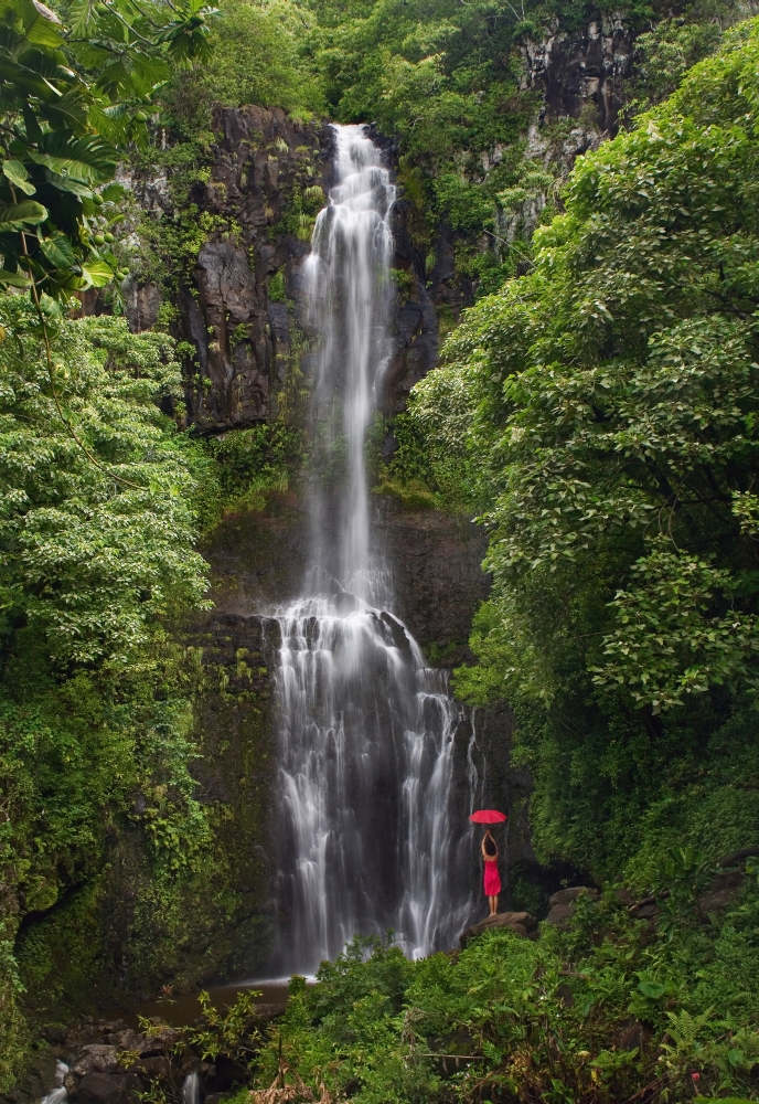 Hawaii Maui Kipahulu Hana Coast Woman Stands With Umbrella At Wailua Falls Surrounded By Foliage Canvas Art - M Swiet Productions Design Pics (24 x 36)