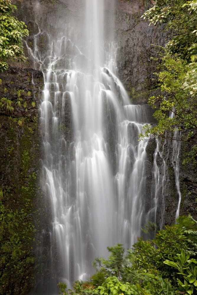 Hawaii Maui Kipahulu Wailua falls Canvas Art - Jenna Szerlag Design Pics (12 x 18)