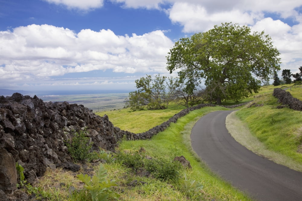 Hawaii Maui Kula A stone wall lines a country road with views of Maui in the background Canvas Art - Jenna Szerlag Design Pics (38 x 24)