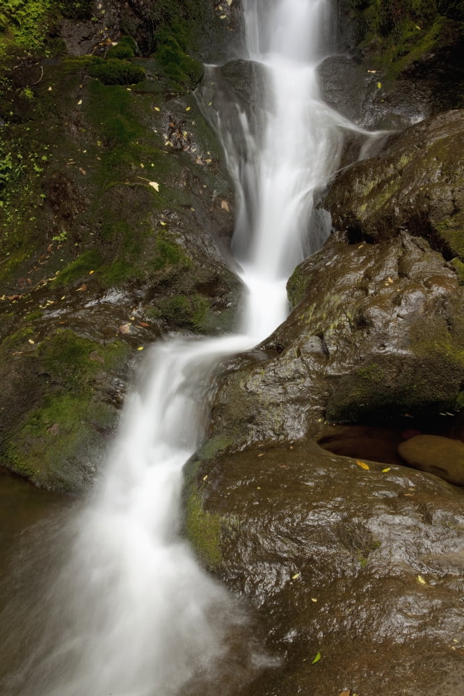 Hawaii Maui Makamakaole Gulch A closeup of waterfall Canvas Art - Jenna Szerlag Design Pics (12 x 19)
