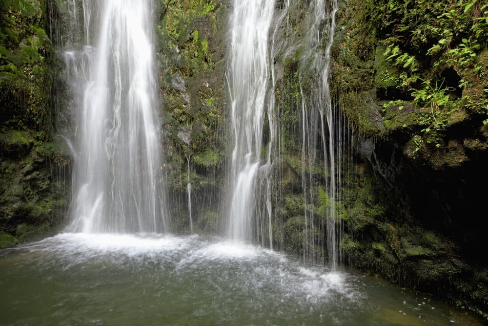 Hawaii Maui Makamakaole Gulch Waihee Ridge Trail Waterfall and pond Canvas Art - Jenna Szerlag Design Pics (19 x 12)
