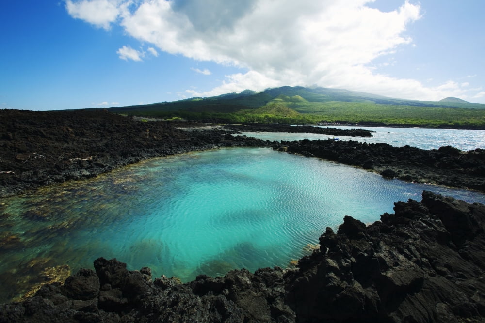 Hawaii Maui Makena Ahihi Kinau Natural Reserve Canvas Art - Ron Dahlquist Design Pics (28 x 18)