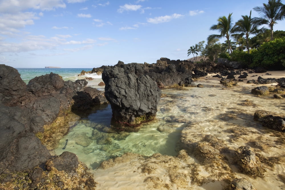 Hawaii Maui Makena Beautiful clear ocean among lava rock Canvas Art - Jenna Szerlag Design Pics (19 x 12)