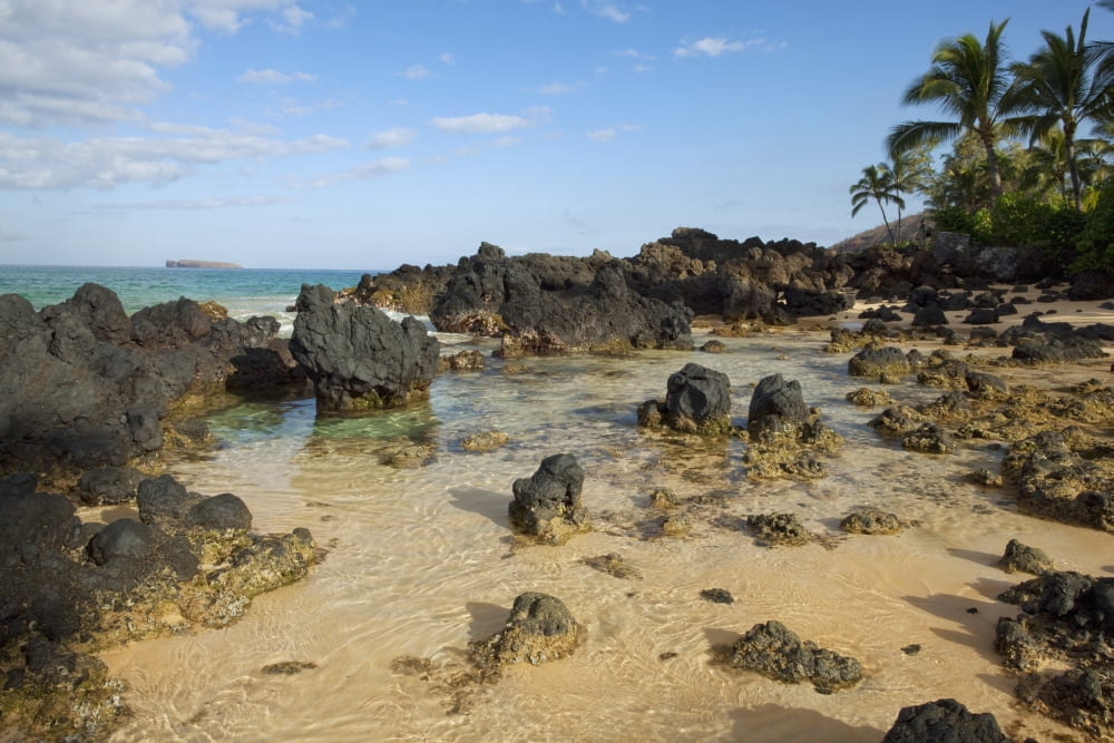 Hawaii Maui Makena Beautiful clear ocean among lava rock Canvas Art - Jenna Szerlag Design Pics (19 x 12)