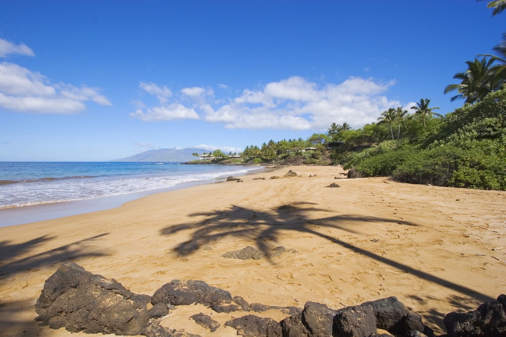 Hawaii Maui Makena Changs Beach Shadow Of Palm Tree On Sand Canvas Art - Ron Dahlquist Design Pics (17 x 11)